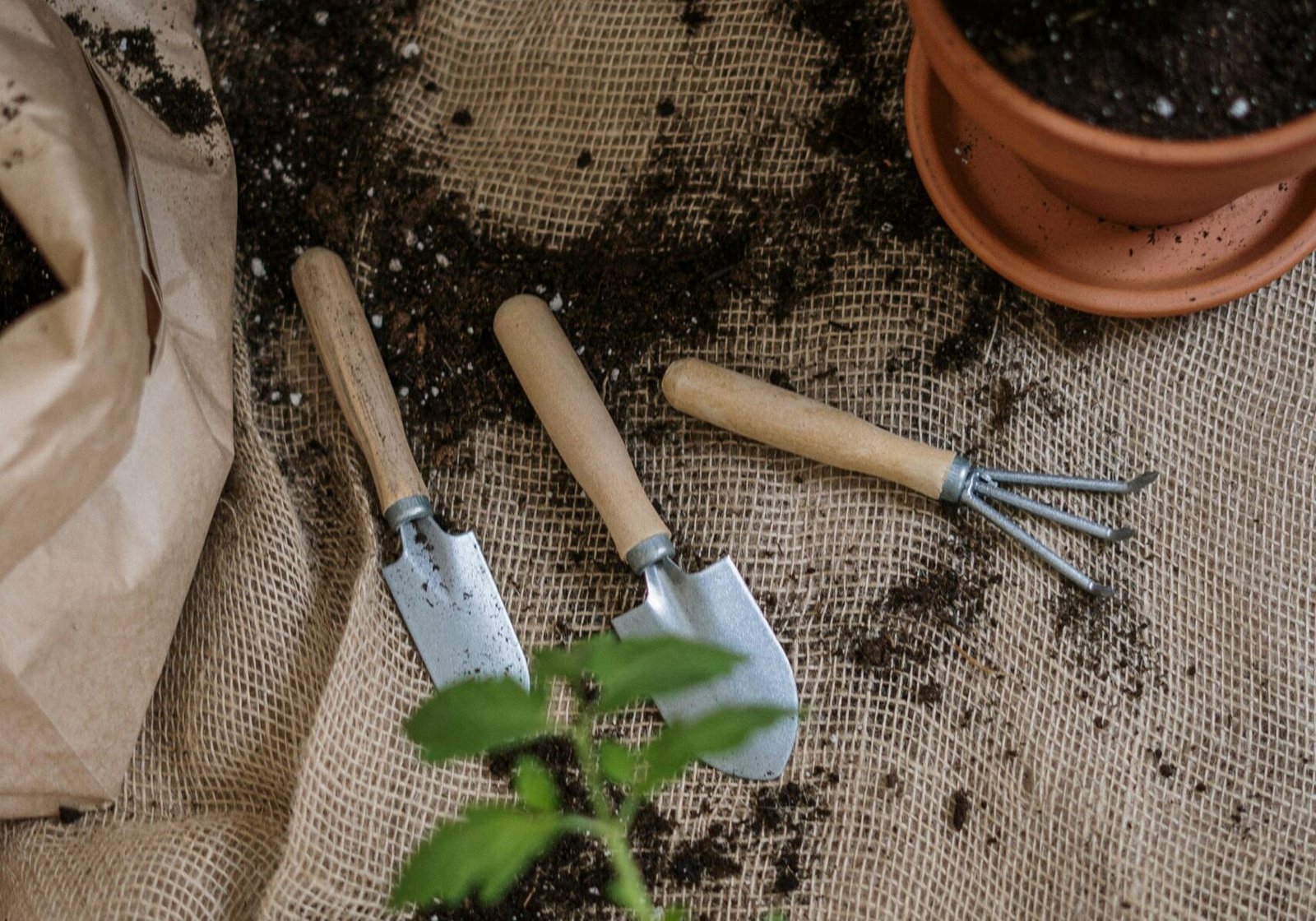 veg-gardening